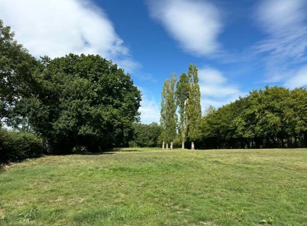 Maison sur plus dun hectare clos  Idéal chevaux ou nature