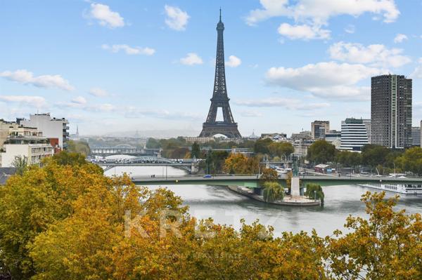 Vue Seine et Tour Eiffel - Quai Louis Blériot Paris 16