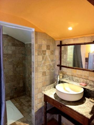 Atypique maison de village sur 3 niveaux, jardin et garage attenants