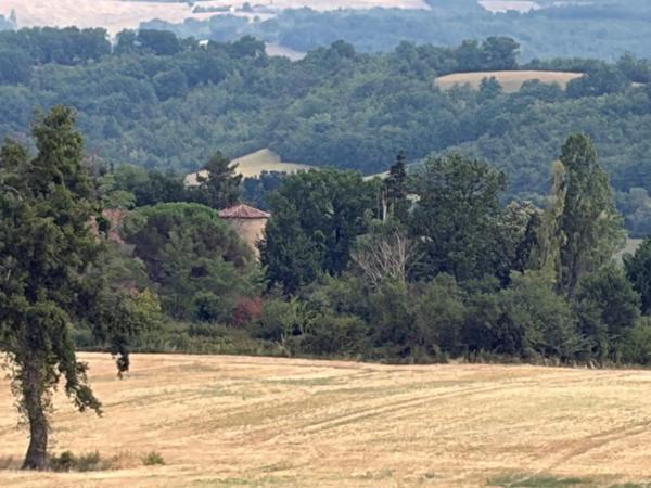 MARCIAC(32): ancienne SEIGNEURIE avec BEAU CHATEAU XIV sur 3,5ha, cachée, au bout du chemin, sans voisin, en campagne, 500m2 habitables, piscine chauffée, découvrez les riches heures des seigneurs
