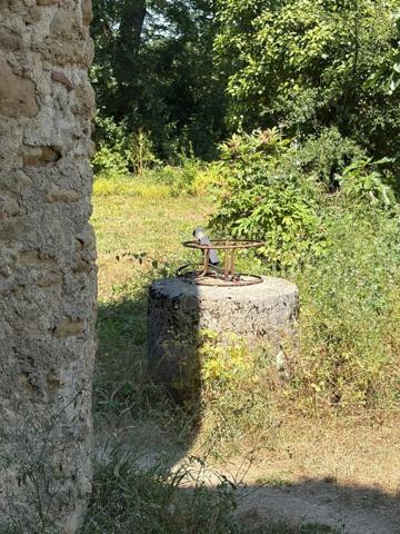 MARCIAC(32): ancienne SEIGNEURIE avec BEAU CHATEAU XIV sur 3,5ha, cachée, au bout du chemin, sans voisin, en campagne, 500m2 habitables, piscine chauffée, découvrez les riches heures des seigneurs