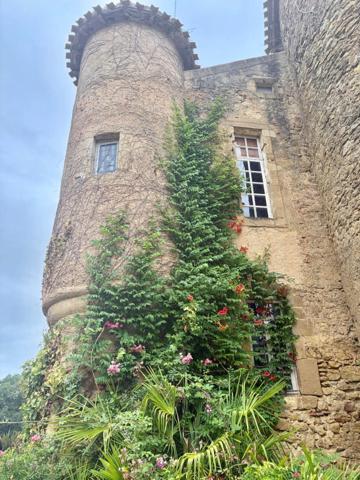 MARCIAC(32): ancienne SEIGNEURIE avec BEAU CHATEAU XIV sur 3,5ha, cachée, au bout du chemin, sans voisin, en campagne, 500m2 habitables, piscine chauffée, découvrez les riches heures des seigneurs