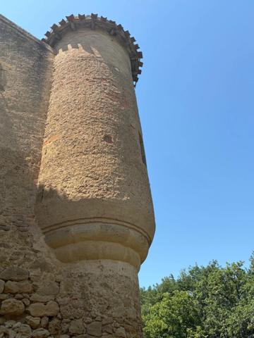 MARCIAC(32): ancienne SEIGNEURIE avec BEAU CHATEAU XIV sur 3,5ha, cachée, au bout du chemin, sans voisin, en campagne, 500m2 habitables, piscine chauffée, découvrez les riches heures des seigneurs