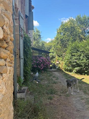 MARCIAC(32): ancienne SEIGNEURIE avec BEAU CHATEAU XIV sur 3,5ha, cachée, au bout du chemin, sans voisin, en campagne, 500m2 habitables, piscine chauffée, découvrez les riches heures des seigneurs
