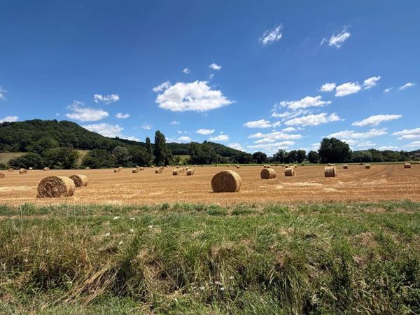MARCIAC(32): ancienne SEIGNEURIE avec BEAU CHATEAU XIV sur 3,5ha, cachée, au bout du chemin, sans voisin, en campagne, 500m2 habitables, piscine chauffée, découvrez les riches heures des seigneurs