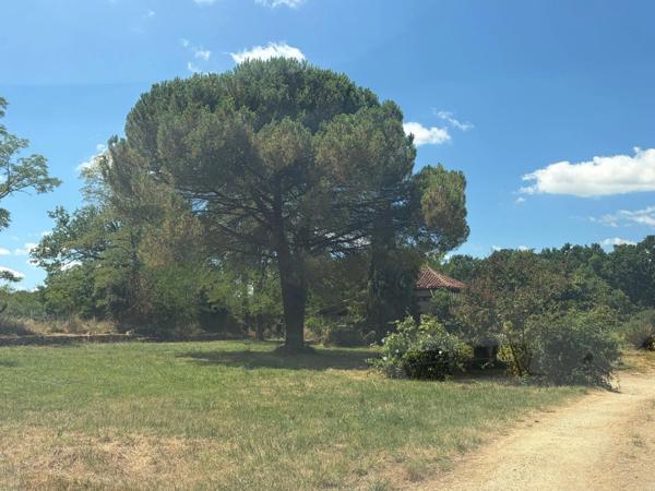 MARCIAC(32): ancienne SEIGNEURIE avec BEAU CHATEAU XIV sur 3,5ha, cachée, au bout du chemin, sans voisin, en campagne, 500m2 habitables, piscine chauffée, découvrez les riches heures des seigneurs