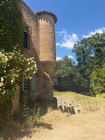 MARCIAC(32): ancienne SEIGNEURIE avec BEAU CHATEAU XIV sur 3,5ha, cachée, au bout du chemin, sans voisin, en campagne, 500m2 habitables, piscine chauffée, découvrez les riches heures des seigneurs
