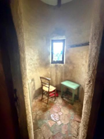 MARCIAC(32): ancienne SEIGNEURIE avec BEAU CHATEAU XIV sur 3,5ha, cachée, au bout du chemin, sans voisin, en campagne, 500m2 habitables, piscine chauffée, découvrez les riches heures des seigneurs