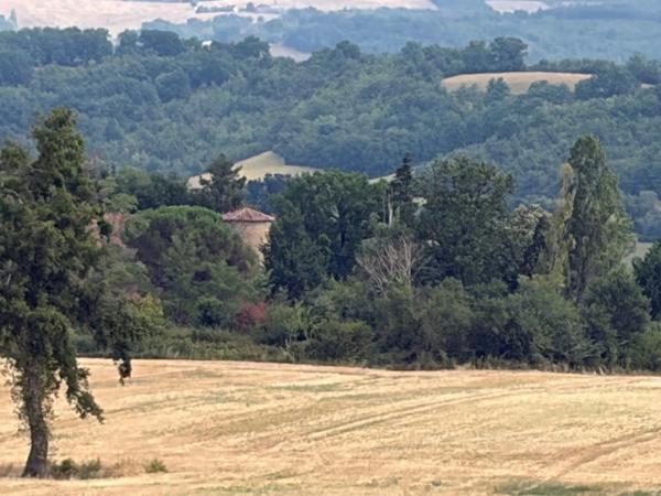 MARCIAC(32): ancienne SEIGNEURIE avec BEAU CHATEAU XIV sur 3,5ha, cachée, au bout du chemin, sans voisin, en campagne, 500m2 habitables, piscine chauffée, découvrez les riches heures des seigneurs