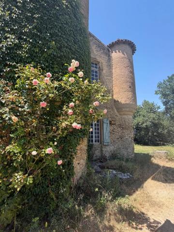 MARCIAC(32): ancienne SEIGNEURIE avec BEAU CHATEAU XIV sur 3,5ha, cachée, au bout du chemin, sans voisin, en campagne, 500m2 habitables, piscine chauffée, découvrez les riches heures des seigneurs