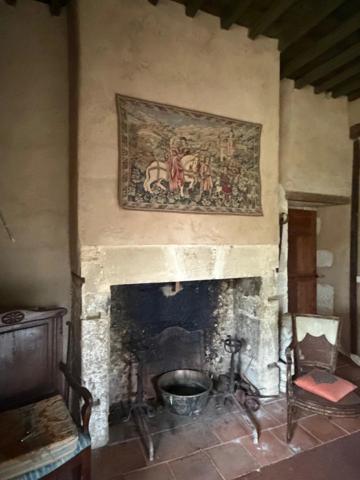 MARCIAC(32): ancienne SEIGNEURIE avec BEAU CHATEAU XIV sur 3,5ha, cachée, au bout du chemin, sans voisin, en campagne, 500m2 habitables, piscine chauffée, découvrez les riches heures des seigneurs