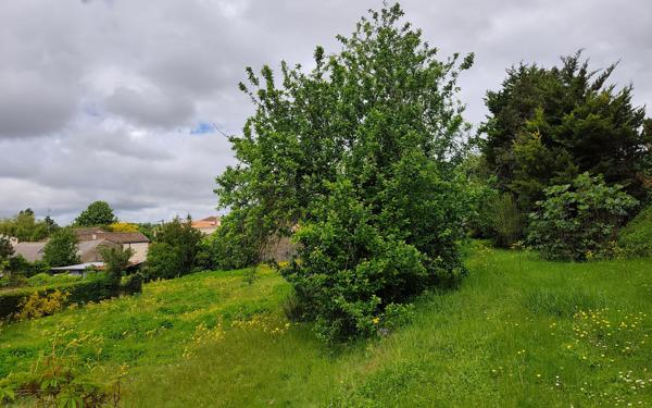 Terrain à vendre    Tonnay-Charente