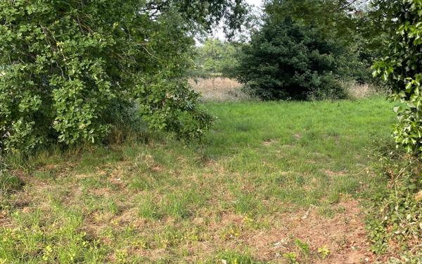 Terrain à vendre    Chaillac-sur-Vienne