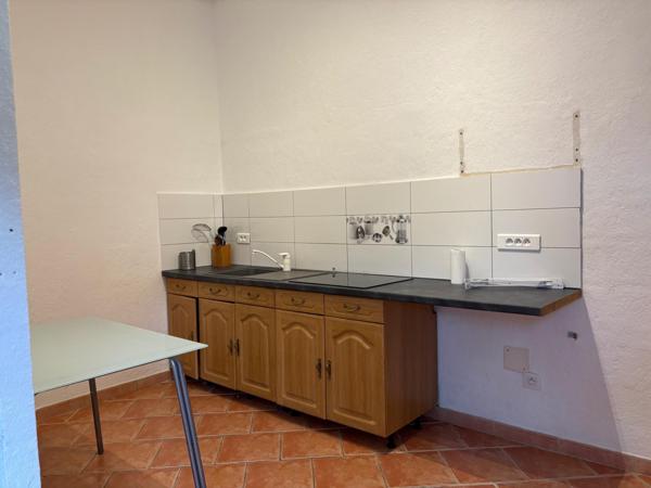 Investissement à fort potentiel - Bâtiment polyvalent de 438 m² + T1