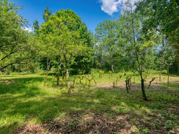 Maison à vendre à Tilly (36310) - Indre
