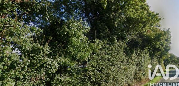 Terrain à vendre 3 685 m² Bourgneuf