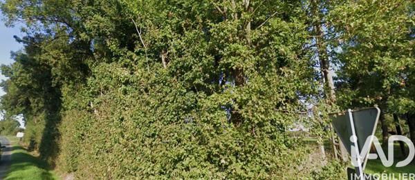 Terrain à vendre 3 685 m² Bourgneuf