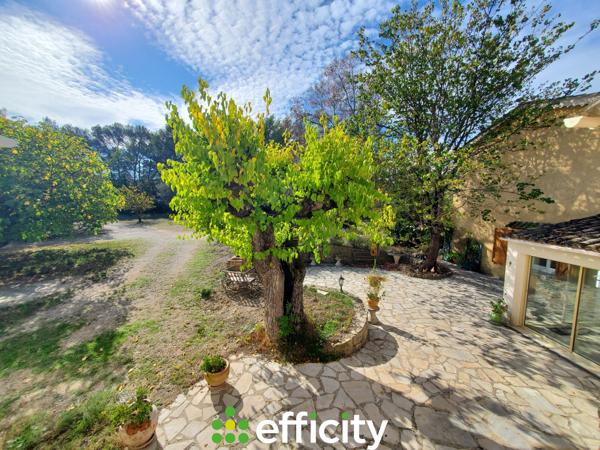 Maison 8 pièces - 320 m²