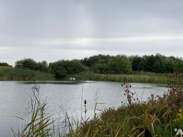 Etang - CAYEUX SUR MER