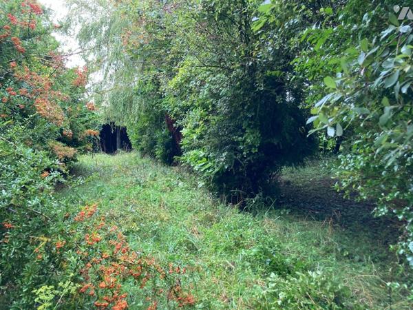 Etang - CAYEUX SUR MER