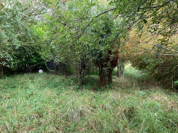 Etang - CAYEUX SUR MER