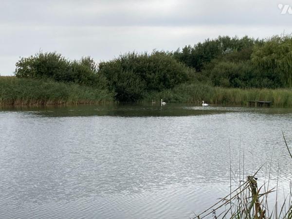 Etang - CAYEUX SUR MER