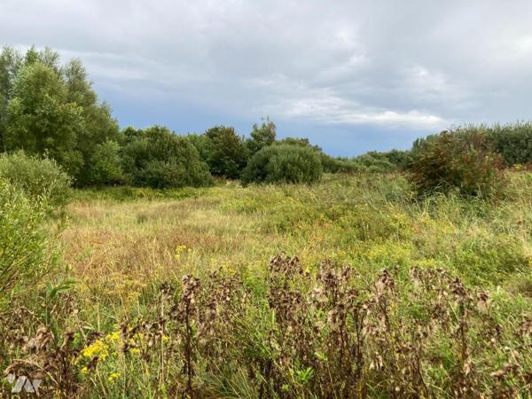 Etang - CAYEUX SUR MER