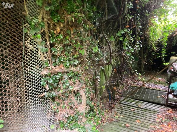 Etang - CAYEUX SUR MER