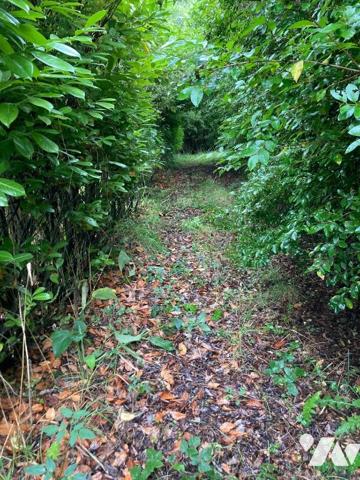 Etang - CAYEUX SUR MER