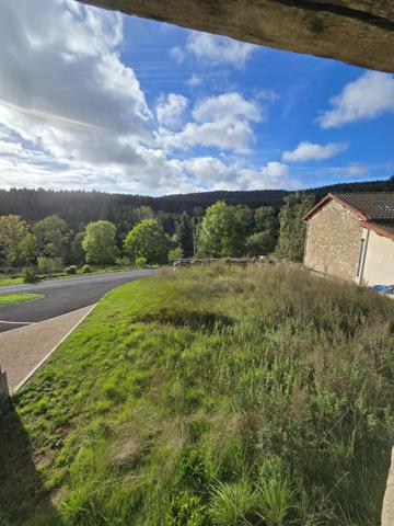 Maison en pierre 156m²