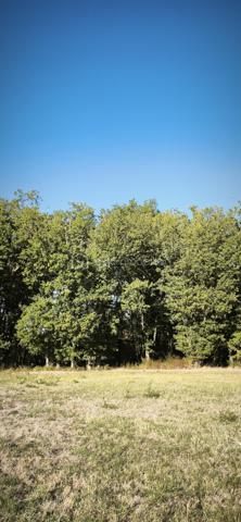 Vends terrain constructible et viabilisé au calme de 815 m2, plat, au calme entre forêt et campagne situé à 3 minutes de Monclar de Quercy, 20 minutes de Montauban et de Gaillac.
Venez visiter ce lieu paisible et vous serez séduit. Terrain prêt à construire.

PRIX H.A.I. : 48000 €

Contactez-moi : 
PIERLOT Corentin.
Agent commercial immatriculé au RSAC d'Albi sous le numéro 521641936.
BSK Immobilier.

INFORMATIONS ET VISITES : 0621220824.