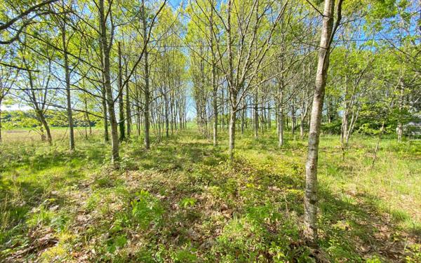 Maison à vendre    4 pièces •  Villemade