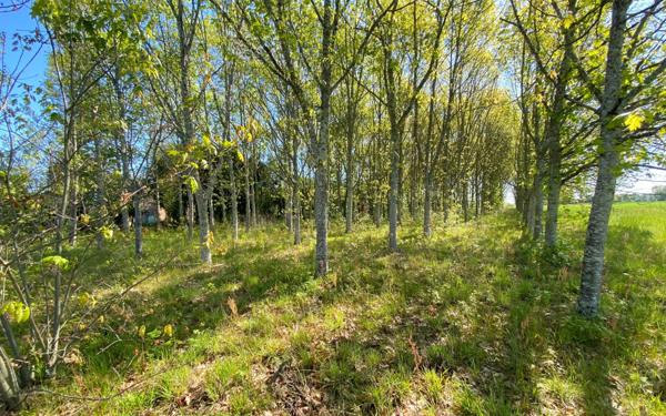 Maison à vendre    4 pièces •  Villemade