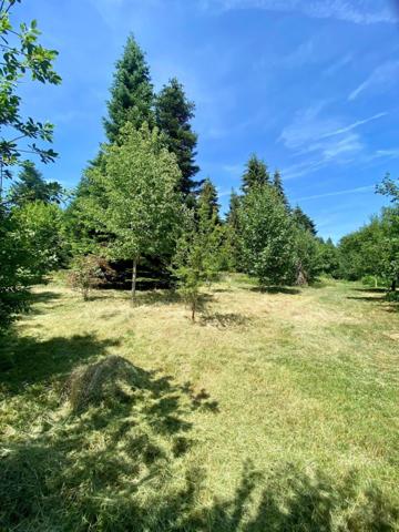 Maison 80M² avec dépendance sur grand terrain plat d'1Hectare