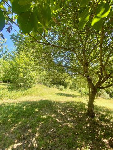 Maison 80M² avec dépendance sur grand terrain plat d'1Hectare