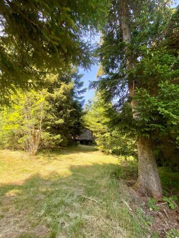 Maison 80M² avec dépendance sur grand terrain plat d'1Hectare