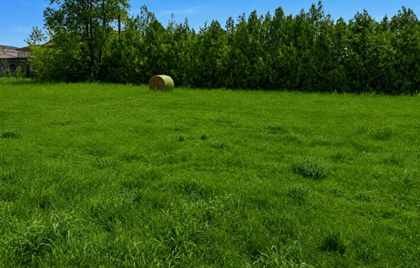 Terrain à Batir de 338 m²