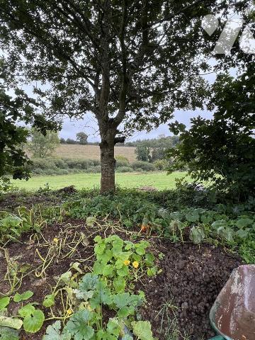 Maison M Mondenschen Claude