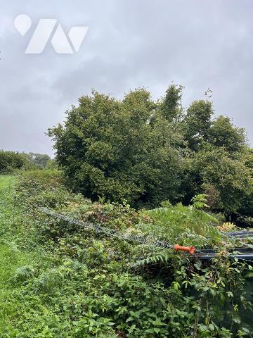 Maison M Mondenschen Claude