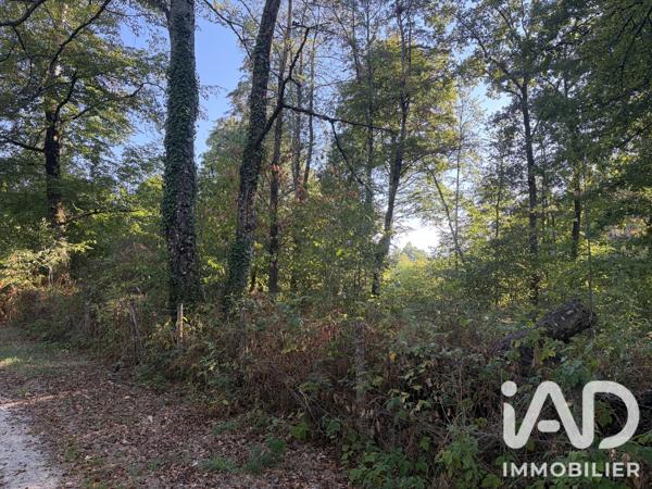 Terrain à vendre 2 236 m² Feytiat