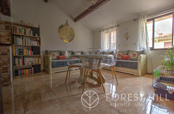 Céret (66400) Immeubles avec deux appartements et garage