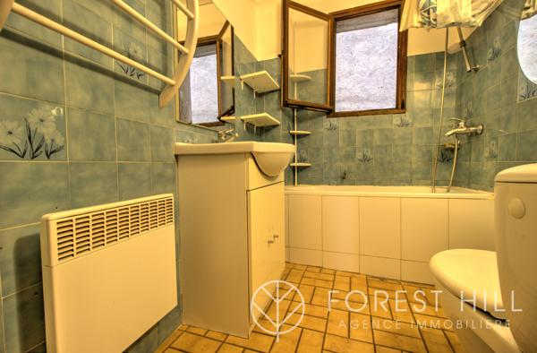 Céret (66400) Immeubles avec deux appartements et garage