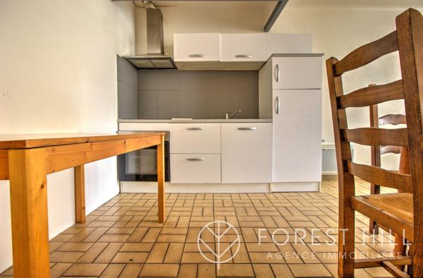 Céret (66400) Immeubles avec deux appartements et garage