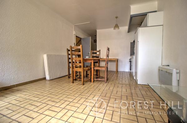 Céret (66400) Immeubles avec deux appartements et garage