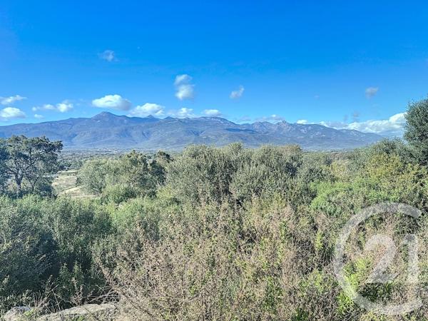 Terrain à vendre  875 m2 PORTO VECCHIO - 201