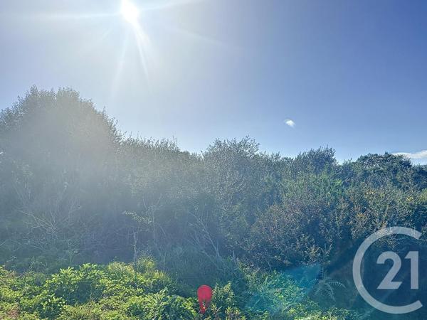Terrain à vendre  875 m2 PORTO VECCHIO - 201