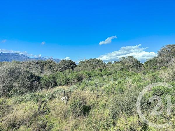 Terrain à vendre  875 m2 PORTO VECCHIO - 201