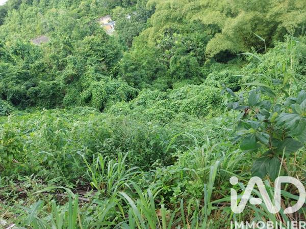 Terrain à vendre 900 m² Le Gosier