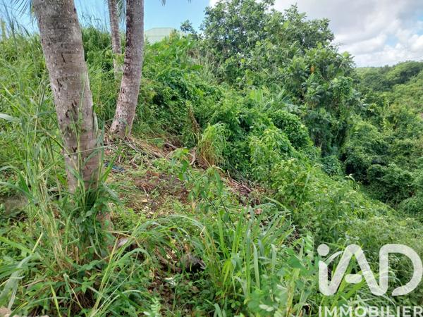 Terrain à vendre 900 m² Le Gosier