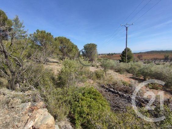 terrain à vendre 7120 m2 SALSES LE CHATEAU - 66